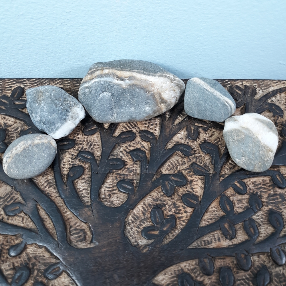 *5 Maine Banded Stones East Coast Beach Rocks Raw Mineral Specimens Gray White